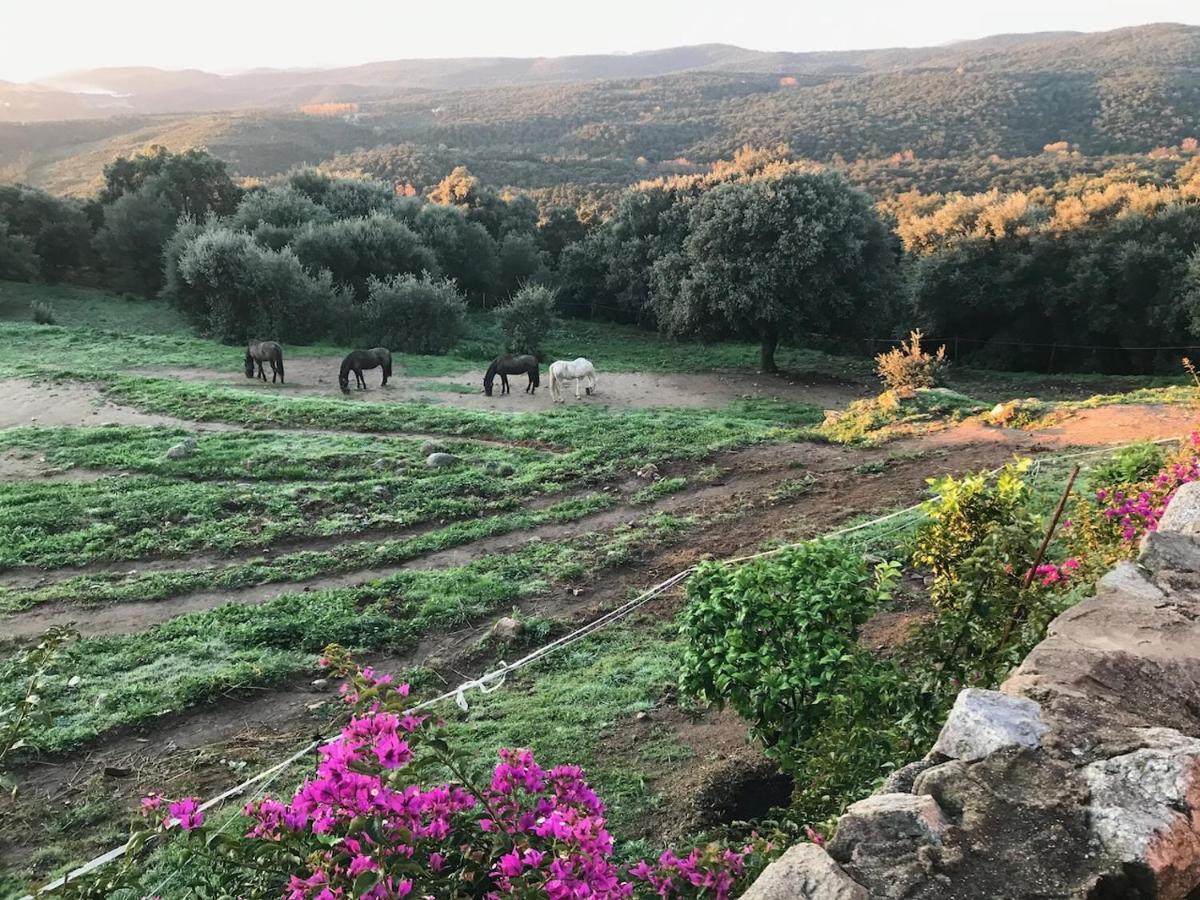 Can Maimes Agullana Dış mekan fotoğraf