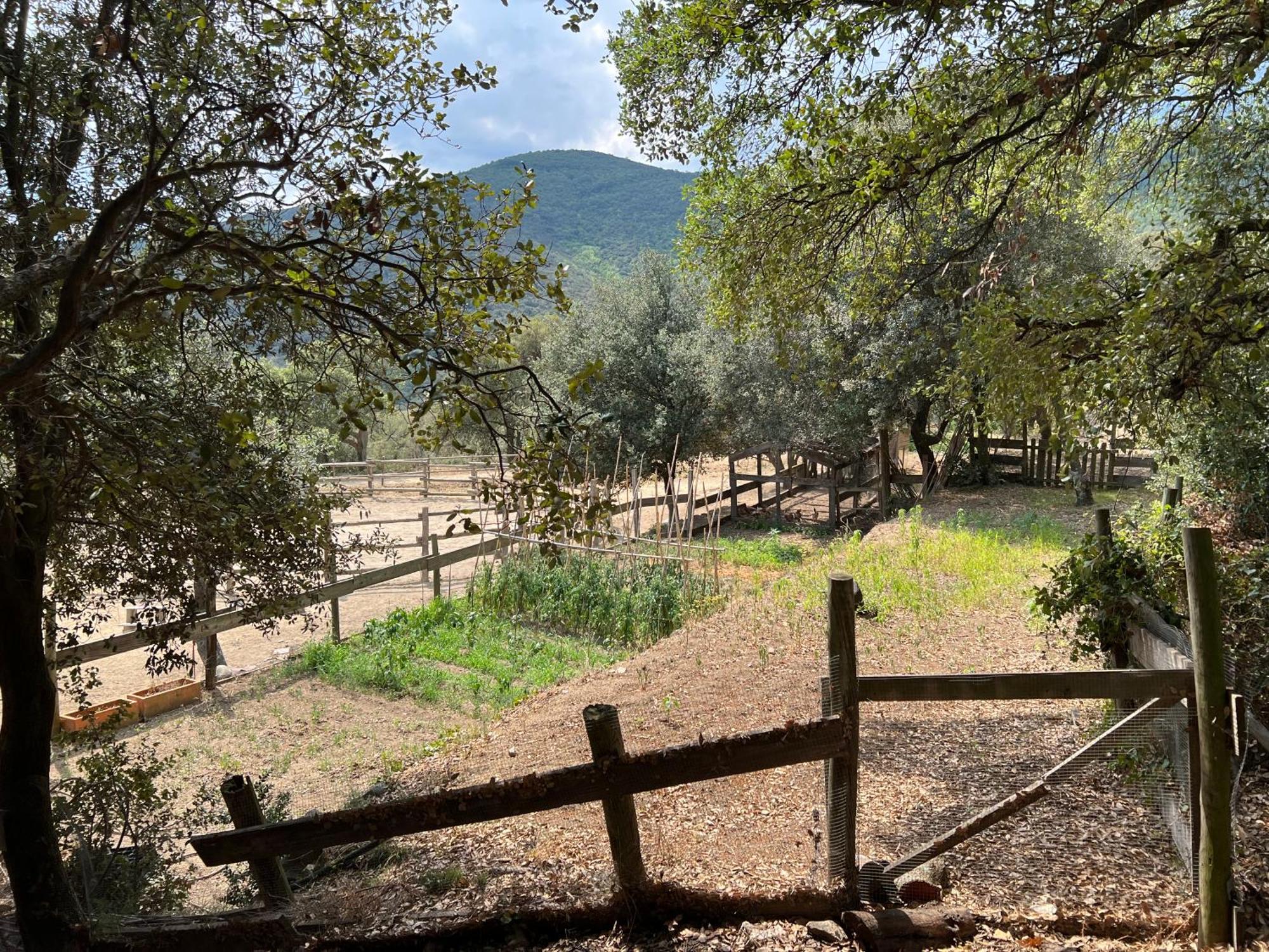 Can Maimes Agullana Dış mekan fotoğraf