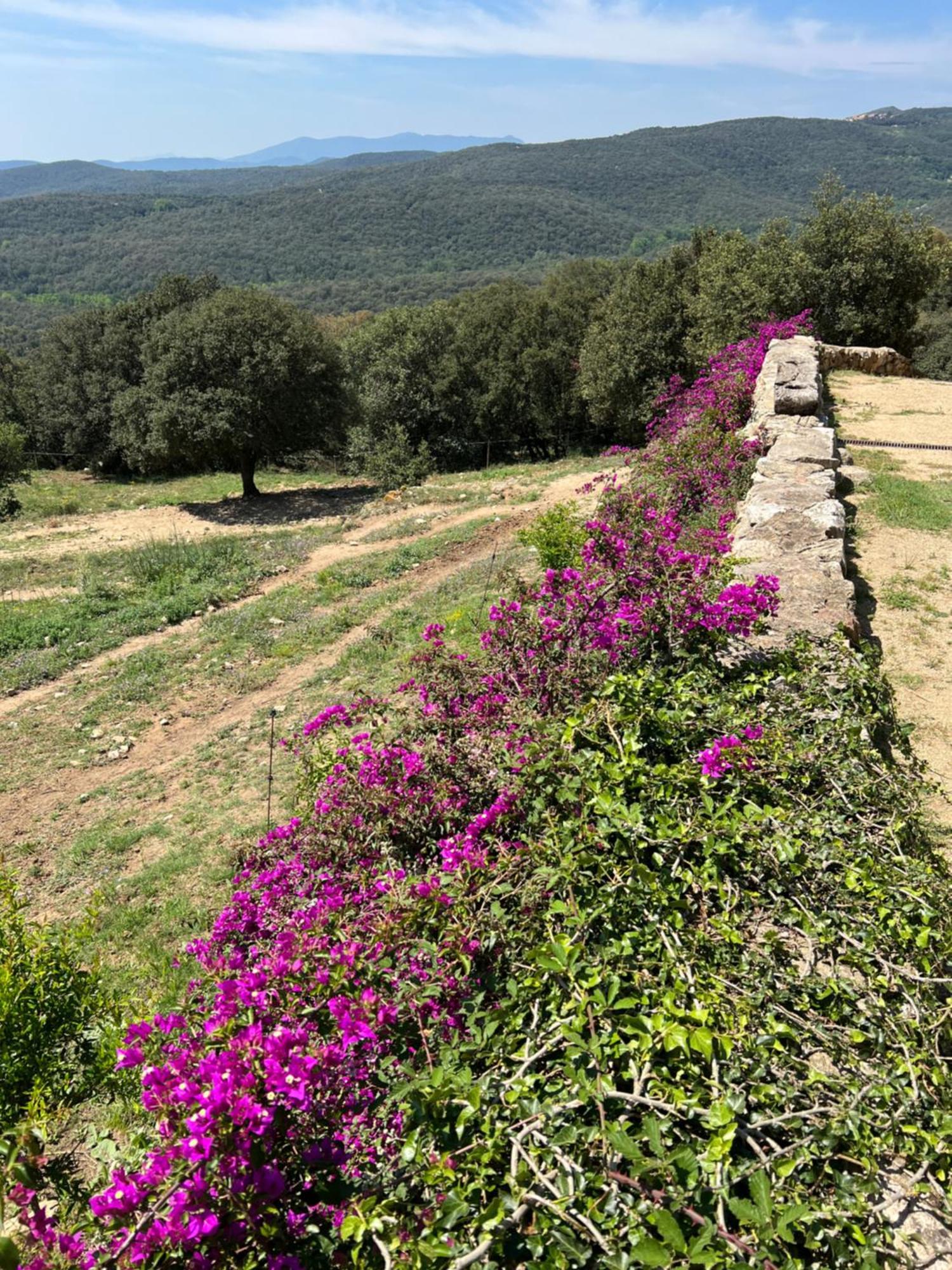 Can Maimes Agullana Dış mekan fotoğraf